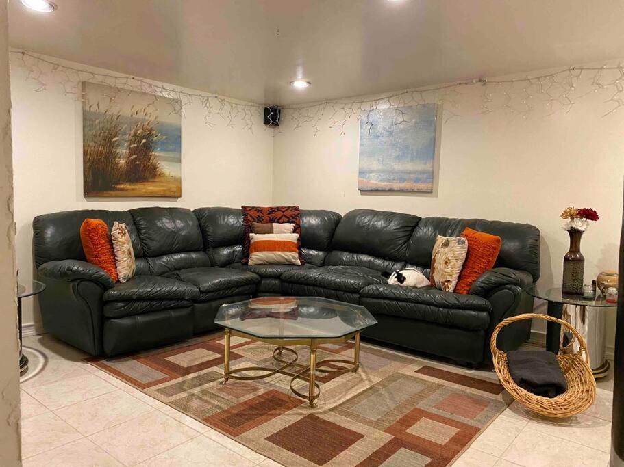 شقة Treasure In Queens نيو يورك المظهر الخارجي الصورة
